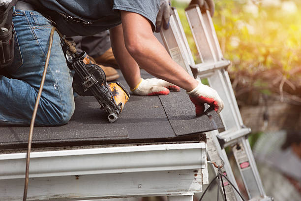 Best Roof Gutter Cleaning  in Waldwick, NJ